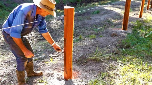 Rural fencing secrets: Expert tips for building tough farm fences in Australia