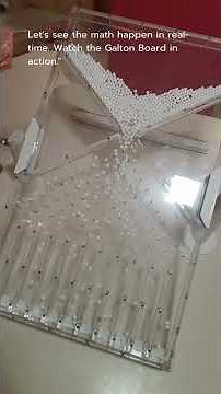 Galton Board | Normal Distribution | Visualizing the Central Limit Theorem