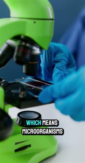 Your Brain Shrinks Every Night While You Sleep 🧠 #factly #shorts #didyouknow #mindblowingfacts