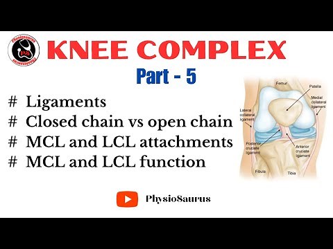 Knee complex - Ligaments (MCL and LCL attachment and function)