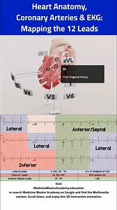 heart's anatomy, coronary arteries, and the 12-lead EKG, making it easier to understand how each lead reflects specific areas of the heart. You can use this in our website, MedicineMasterAcademy.education (or just google Medicine Master Academy), and find the Multimedia section.#Heart #cardiology #electrocardiogram #ecg #ekg #medicine #doctor #USMLE #mcat #neet #medschool #MedicalStudent #medicaleducation | Med G