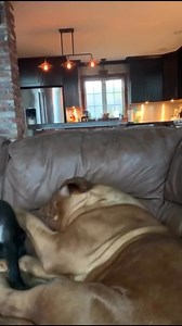 109K views · 2.6K reactions | Viewer discretion advised 藍 | William Vine | Facebook