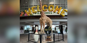 Giant bowling pin unveiled at airport to celebrate USBC Open Championship