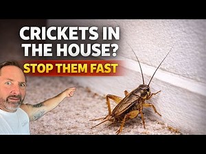 How to Get Rid of Crickets FAST (Indoor & Outdoor Pro Methods)