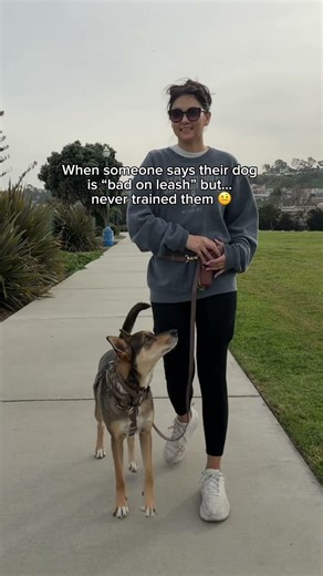 That dog walking perfectly? Someone worked really hard for that 😉 SHOPSUNNYTAILS.COM