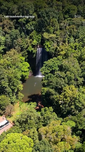 Millaa Millaa Falls - Doesn’t get much better than this!! Jump on our Waterfalls Tour for a day of chasing magic moments in the rainforest’s cool waters ❤️💦👍 @tropicalnorthqueensland @queensland #cairnsadventuregroup #adventuresforeveryone #exploretnq #thisisqueensland #seeaustralia #queenslandholidayfeeling #millaamillaafalls | Cairns Waterfall Tours