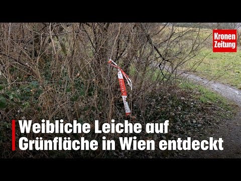 Female body discovered in a green space in Vienna | krone.tv NEWS