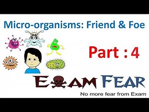 Biology Micro Organisms Part 4 (Protozoa, Algae) Class 8 VIII