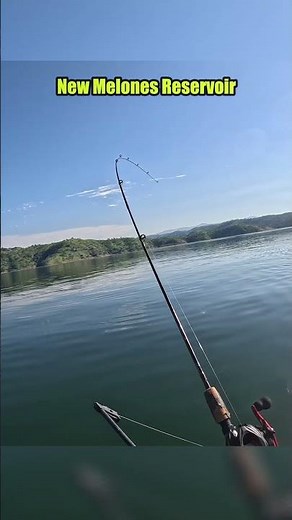 Catching Trout at New Melones Reservoir | Pink Trix Worm in Action