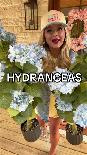 No Maintenance Hydrangeas for Easy Decor
