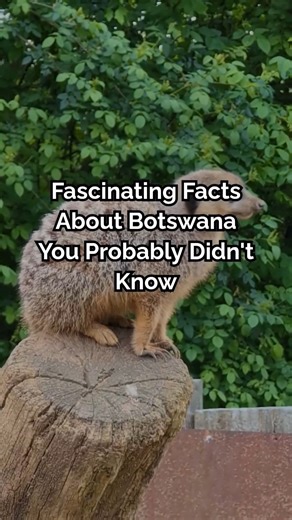 Fascinating Facts About Botswana 🇧🇼 You Probably Didn't Know 🤔😮#trending #facts #shorts