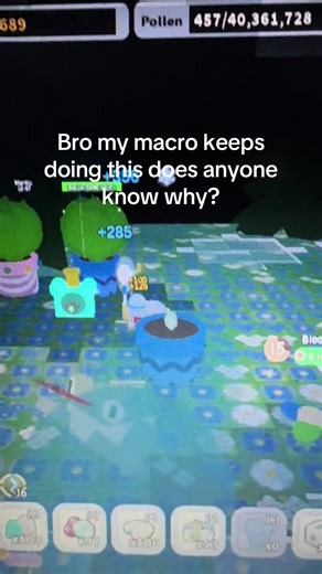 Fixing Macro Issues in Bee Swarm Simulator