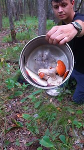 33K views · 385 reactions | How to find something to eat in the wild | Forest Paths | Facebook