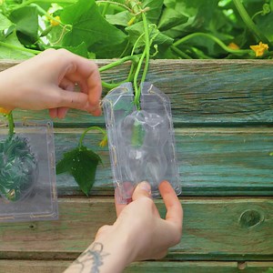 17M views · 10K reactions | Smart gardening hacks you can try today | 5-Minute Crafts | Facebook