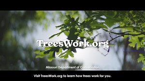 Guess what? People of all ages and abilities can enjoy higher levels of health and well-being when they spend time in nature. Trees Work and they are here for everyone! Visit TreesWork.org to learn how trees work for you. | Missouri Dept. of Conservation