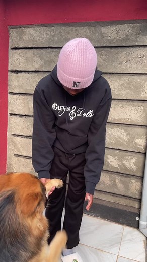 Dogs Tiktok Video Compilation