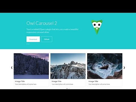 Owl Carousel With Bootstrap 5