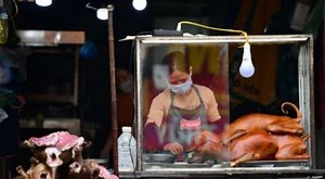 Vietnamese tourist city Hoi An to phase out a 'delicacy' — dog and cat meat