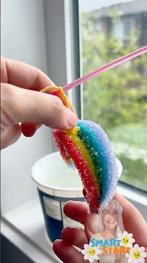 Rainbow Crystal Science Experiment! | Grow Crystals with Miss Daisy 🌈🧪