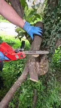 SUCKO BC-2108 | Αλυσοπρίονο Μπαταρίας για Κλάδεμα – Brushless & Ελαφρύ