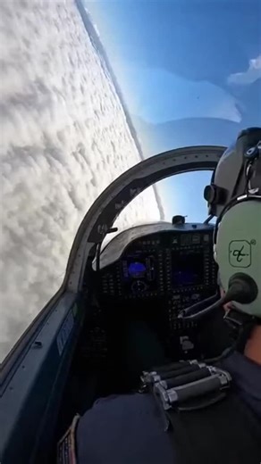 Pilot's Shock After Bird Hits Canopy During Flight