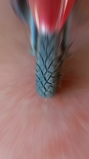 Gajet Podda on TikTok