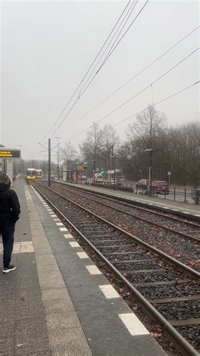 When the Tram Ride Gets Too Real