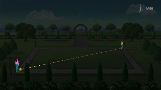 Video: The Distance Formula