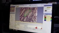 奥林巴斯IX71显微镜软件CellSens Dimension使用3
