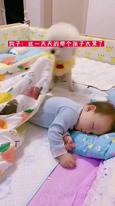 6.6K views · 429 reactions | Mercy suits you best.Mercy suits you best. | Dog lover | Facebook