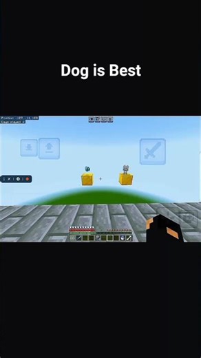 Why My Minecraft Dog Is Better Than Diamond!” #Minecraft #MinecraftDog #BetterThanDiamonds #Gaming
