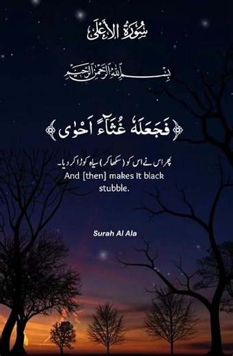 Peaceful recitation of Surah Al-Ala from the Holly Quran| Powerful reminder from Allah(SWT) #quran