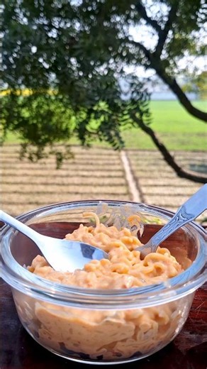 Delicious Milky Cheese Noodles 🍜 #shorts