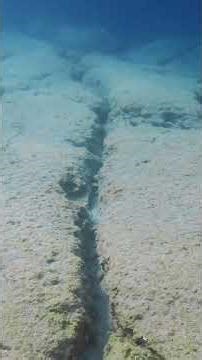 #20 ⚡ 今すぐ準備する｜南海トラフ地震・最も危険な地域と備え