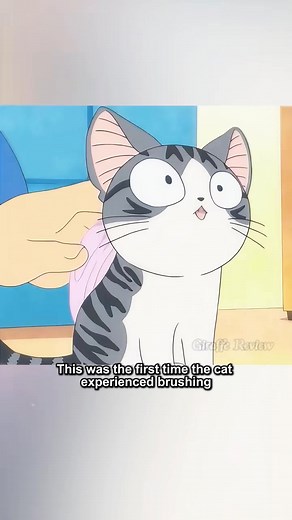 🎥 Chi’s Sweet Home 4 credits to the rightful owner: @giraffereview1 #braxreview #fypシ゚viralシfypシ゚ #facebookviral #anime | Brax Review