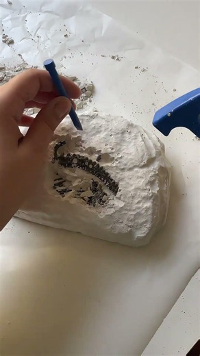 Did you know you can be a real paleontologist without even leaving home?