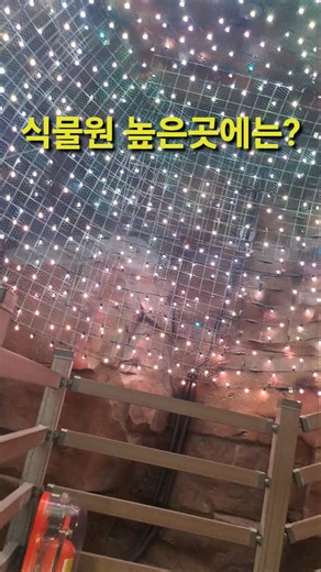 식물원 맨 위층에서 내려다보니… 열대우림 같았다#식물원 #열대우림 #식물원풍경 #여행영상 #힐링