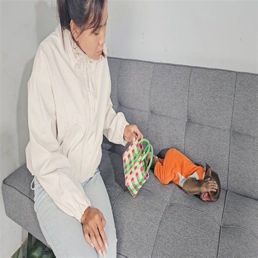 Monkey Su shy because of his embarrassing grocery shopping incident! #reels #reelfb #funny #fyp #adorable #animal #monkey #babymonkey #MonkeyBaby #monkeys #animals | Slingshot ride