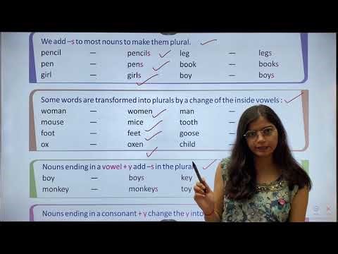 Chapter 3 Noun: Numbers | English Grammar Class 3 | Smart Lecture | Maple Books