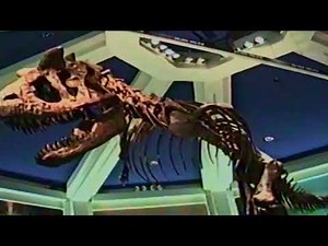 Countdown to Extinction Rare Footage Opening Month 1998 - Disney's Animal Kingdom