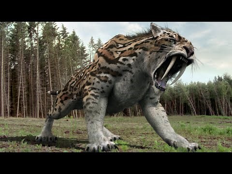 Top 10 Most Amazing Extinct Animals