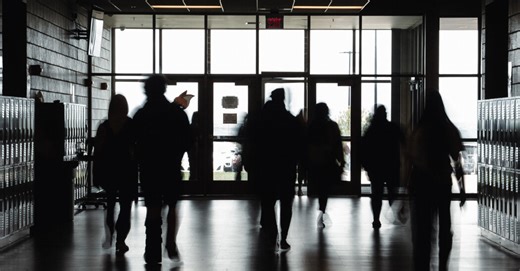 Are Schools a Problem?