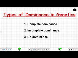 Types of Dominance in Genetics Grade 12 Life Sciences