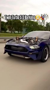 😬😬😬 #ford #fordmustang #mustang #caredits #fast | twin turbo