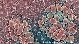 Fight against cholera