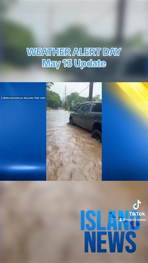 3.5K views · 41 reactions | WEATHER ALERT DAY | Flooding in Oahu is causing car crashes, tree branches breaking and accidents. Read the full story on #IslandNews, KITV.com.  Digital: @franceslintv #weather #flooding #storm #news #hawaii #fyp | KITV4 | Facebook