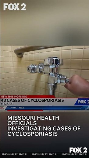 Missouri health officials investigating cases of cyclosporiasis