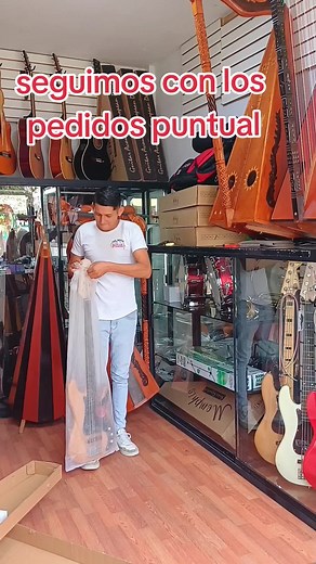 Exploring Unique Stringed Instruments in a Music Shop