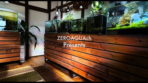 德彩（Tetra）鱼缸的设置 | 水下溪流景观水族造景 | 分步教程