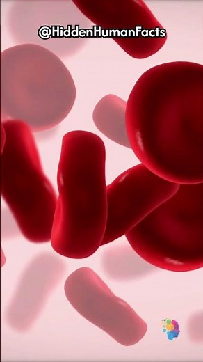 Why Does Blood Smell Fishy or Metallic? Learn the Chemistry of Blood’s Odor!